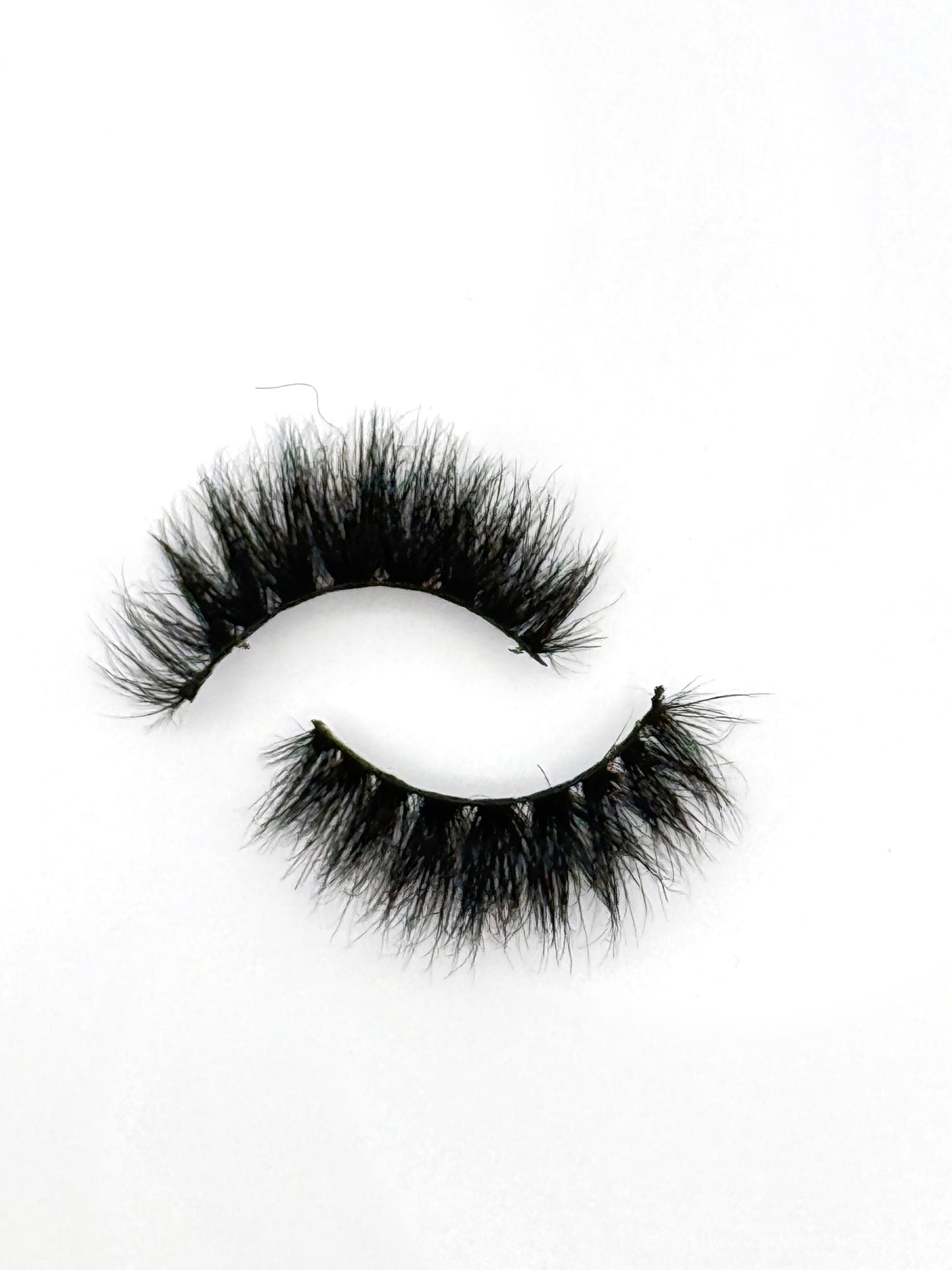 DIVINE Regular Lash