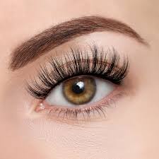 Eye Lashes - Elevate Your Beauty