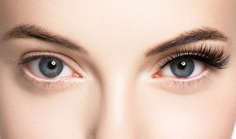 Eye Lashes - Elevate Your Beauty