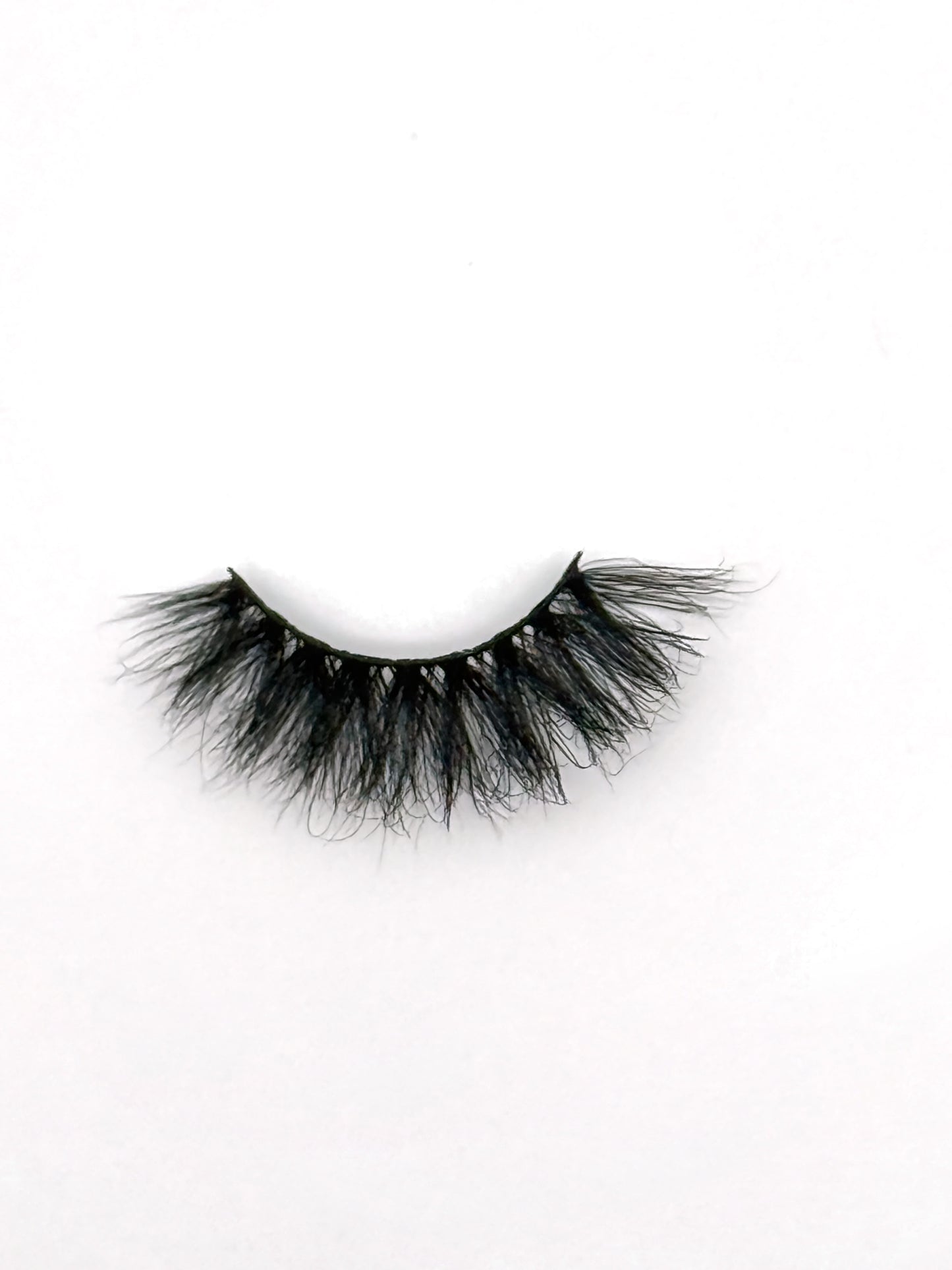 Ashley Regular Lash