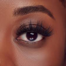 Eye Lashes - Elevate Your Beauty