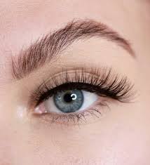 Eye Lashes - Elevate Your Beauty
