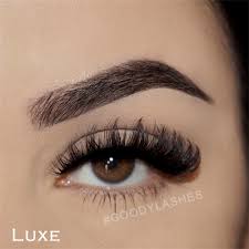 Eye Lashes - Elevate Your Beauty