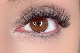 Eye Lashes - Elevate Your Beauty