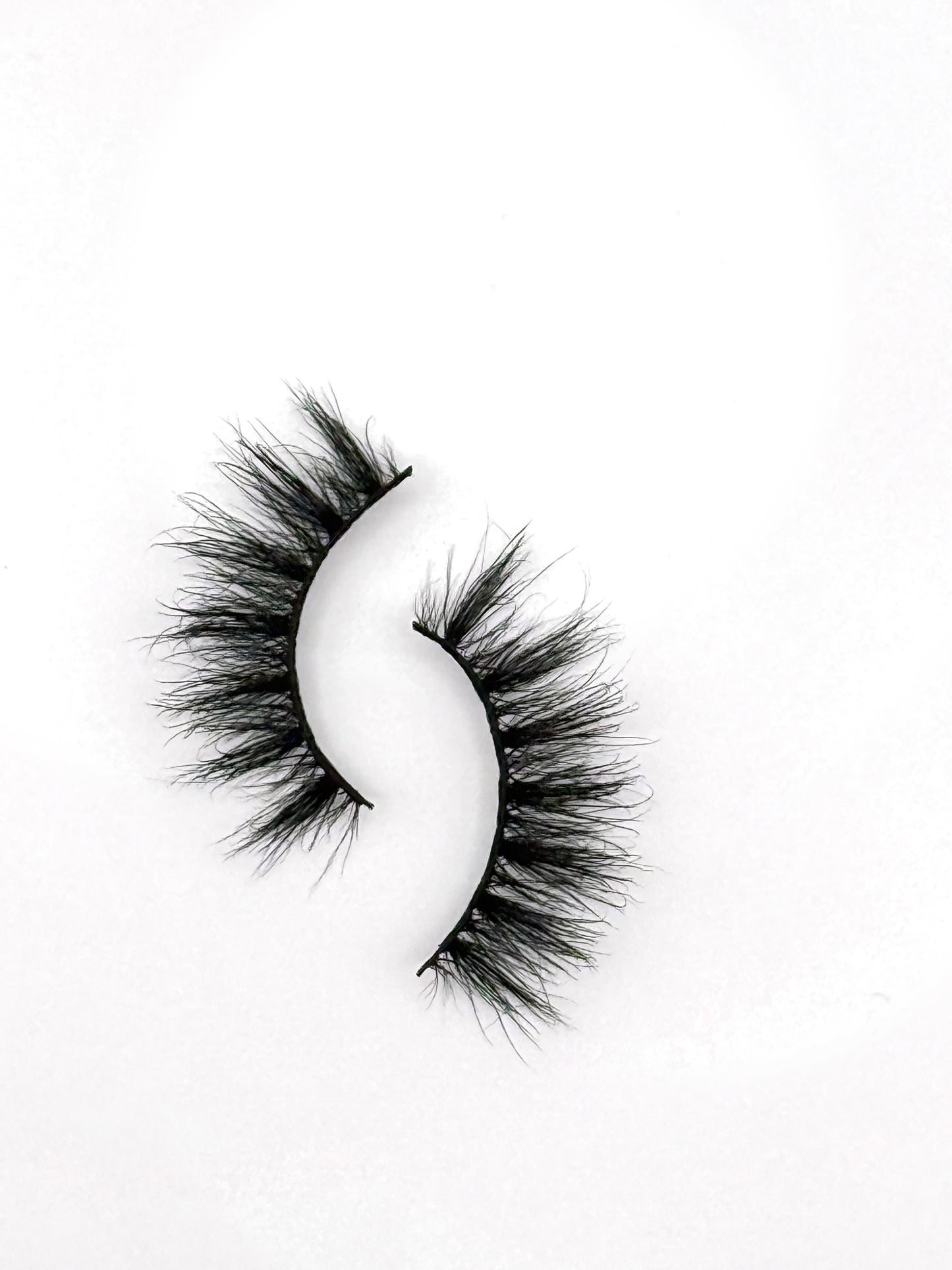 Senorita Regular Lash