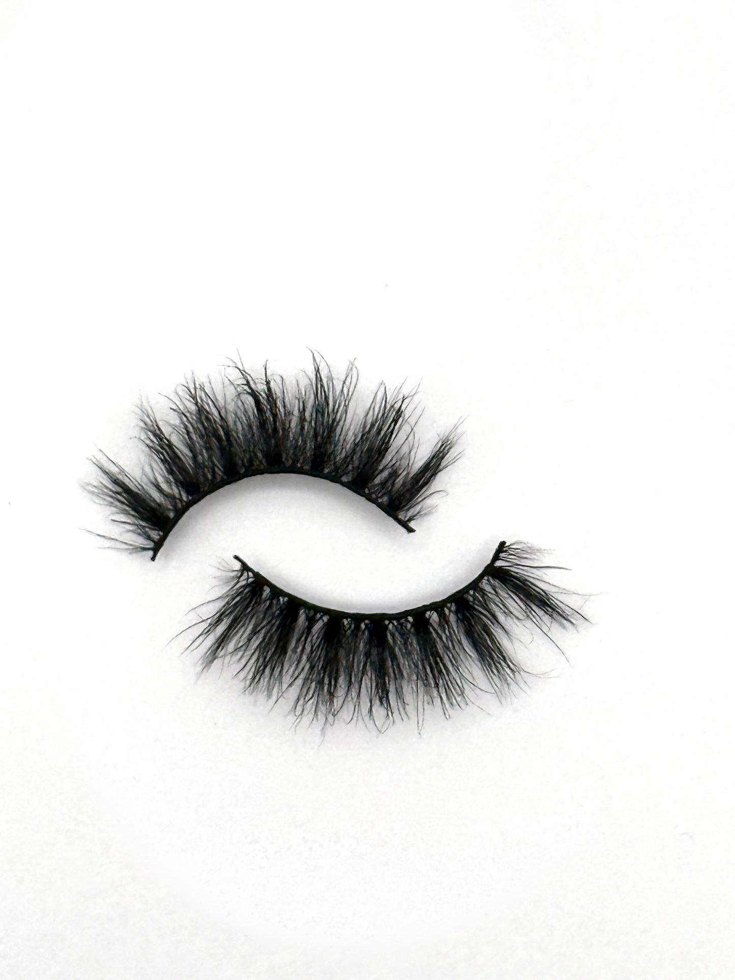 Senorita Regular Lash