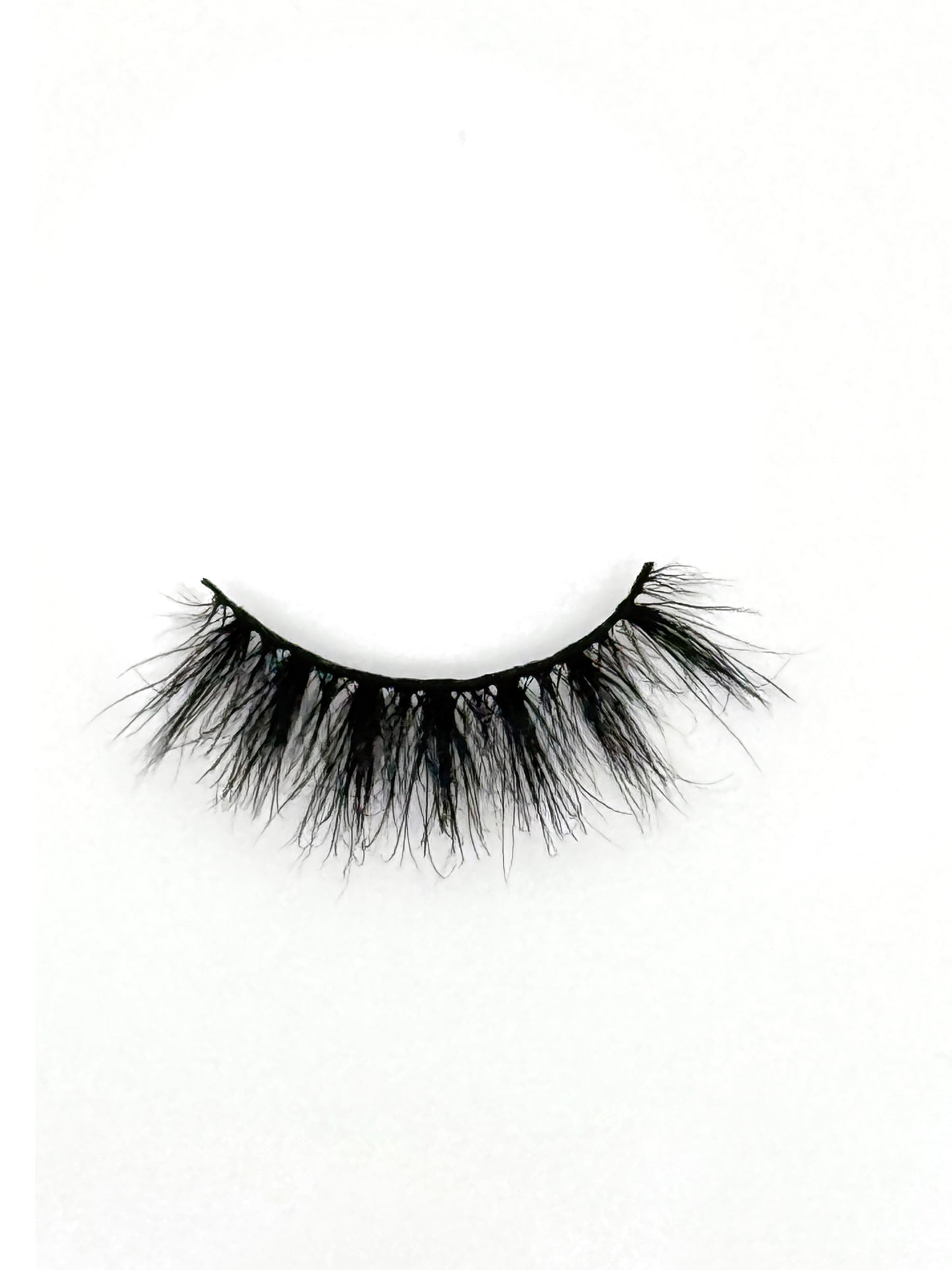 Senorita Regular Lash