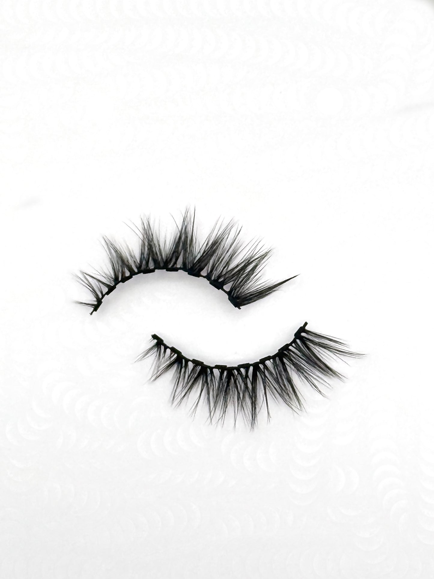 XOXO Magnetic Lash