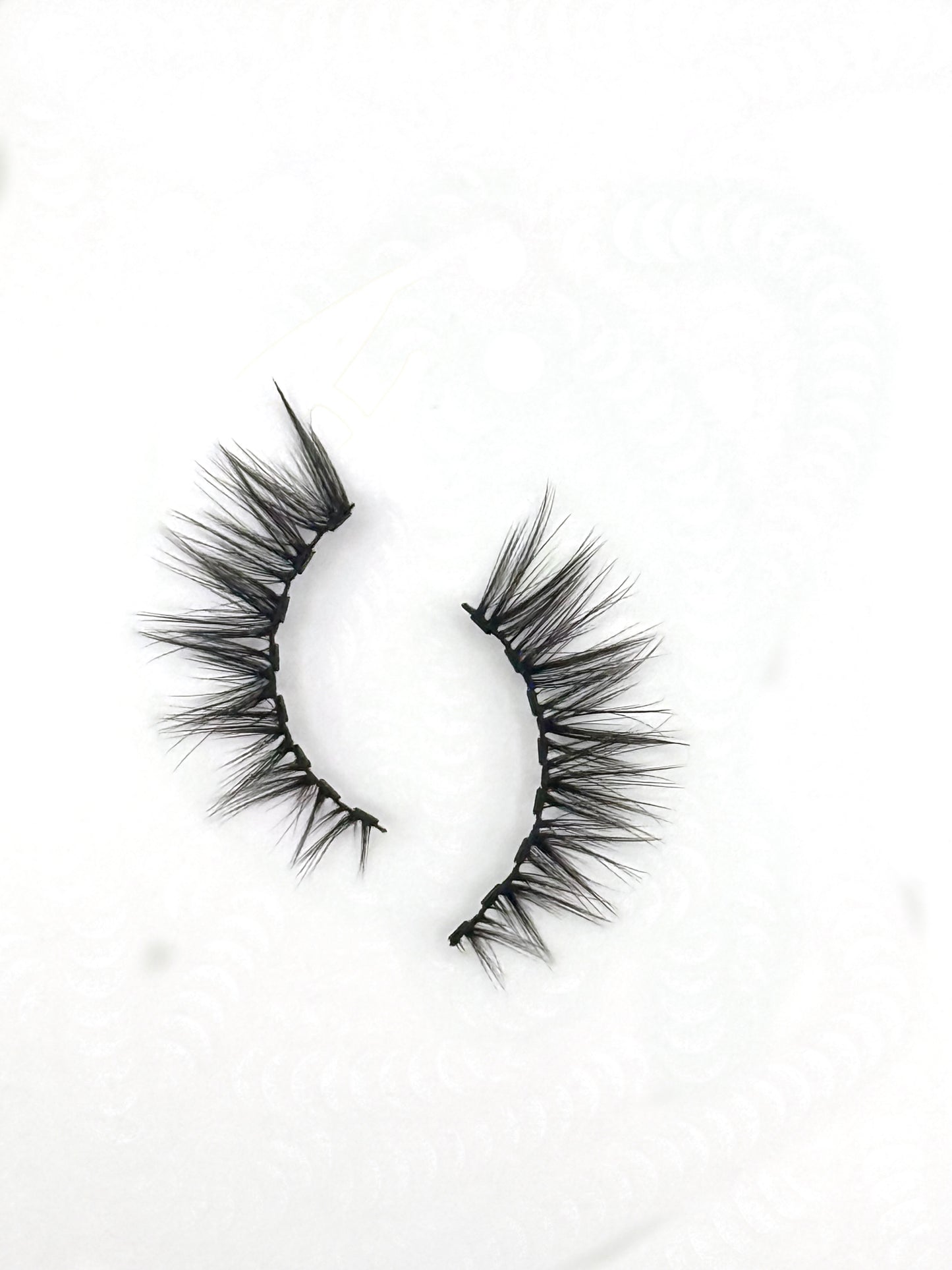 XOXO Magnetic Lash